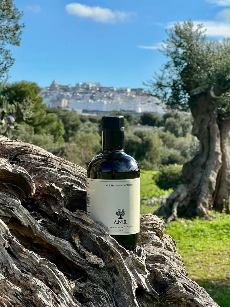 A bottle of A.M.O Puglia extra virgin olive oil on an old olive trunk