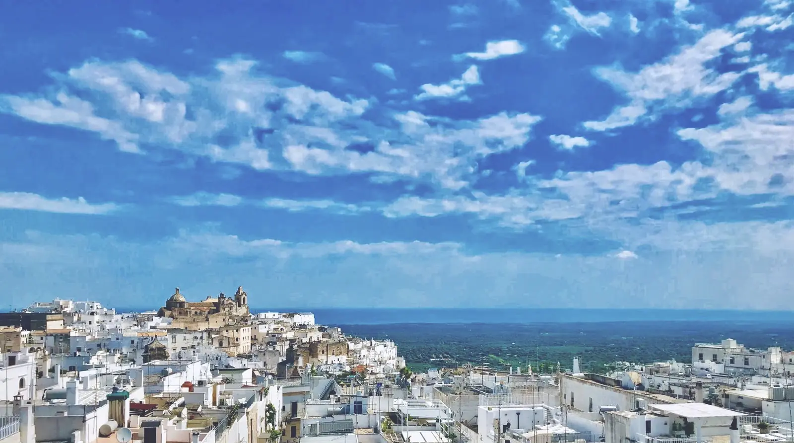 The cathedral and old town rooftops, with the plain running to the sea