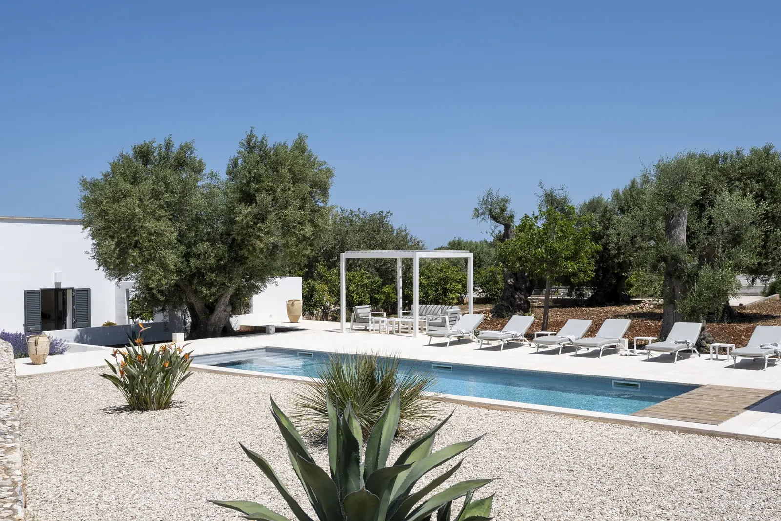 Pool with sunbeds, pergola and agave garden