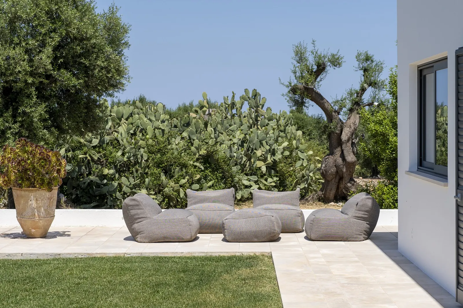 Lounge seating on the lawn beside the prickly pears