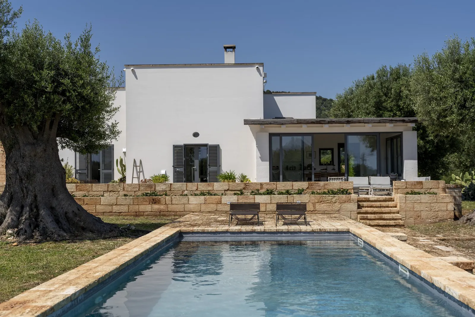 Casa Rocco's pool and contemporary villa beside an ancient olive tree