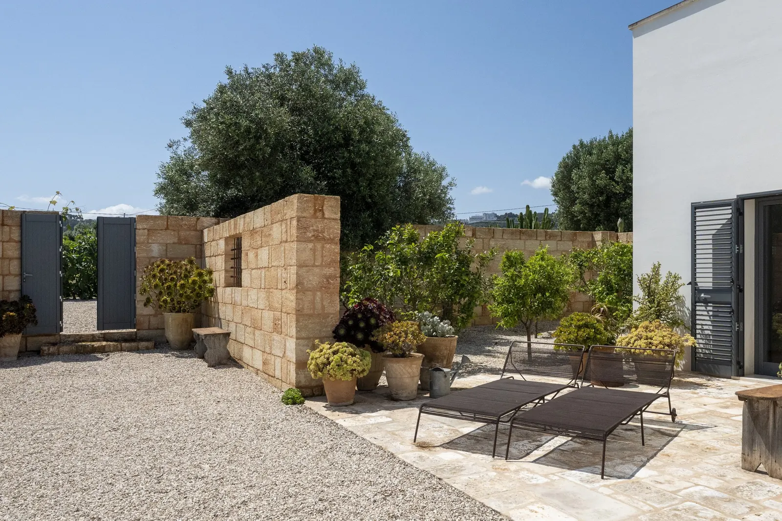 Stone terrace with sunbeds and potted plants