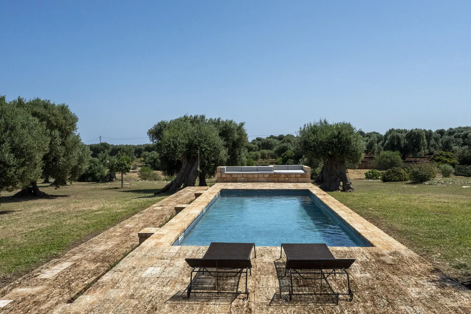 Pool framed by olive trees