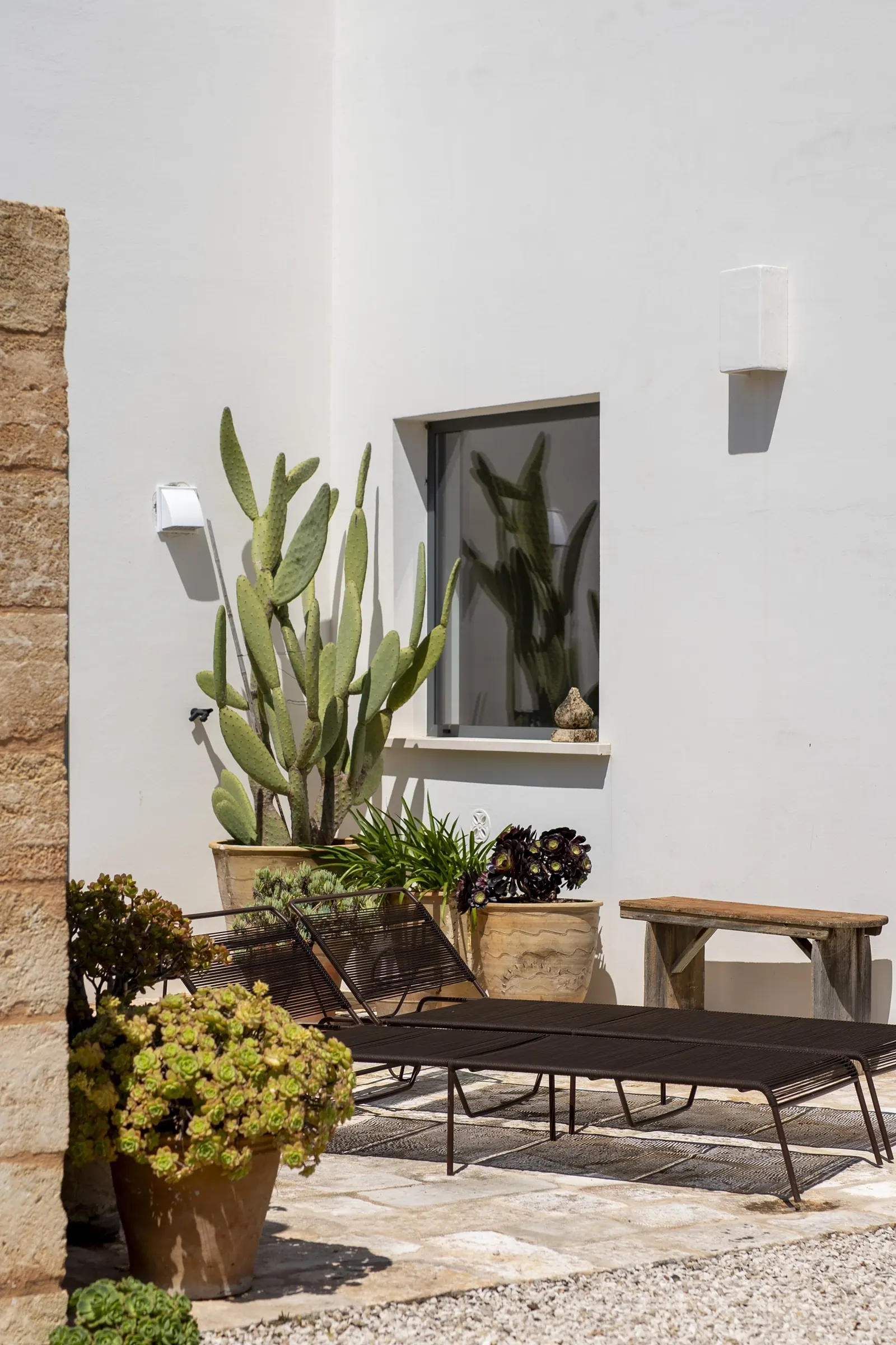 Terrace corner with cactus and loungers