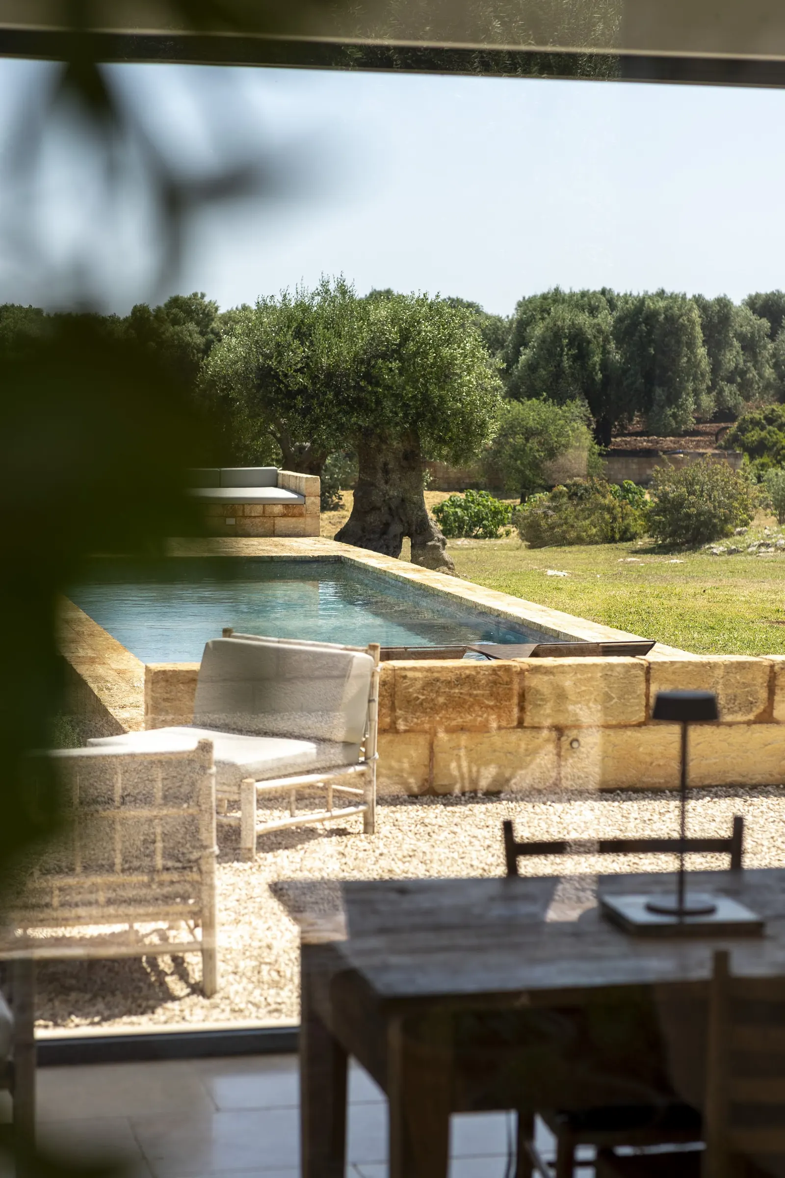 Poolside dining seen through the olive branches