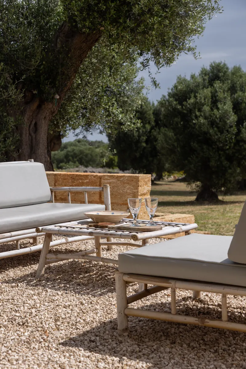 Outdoor lounge among the olive trees