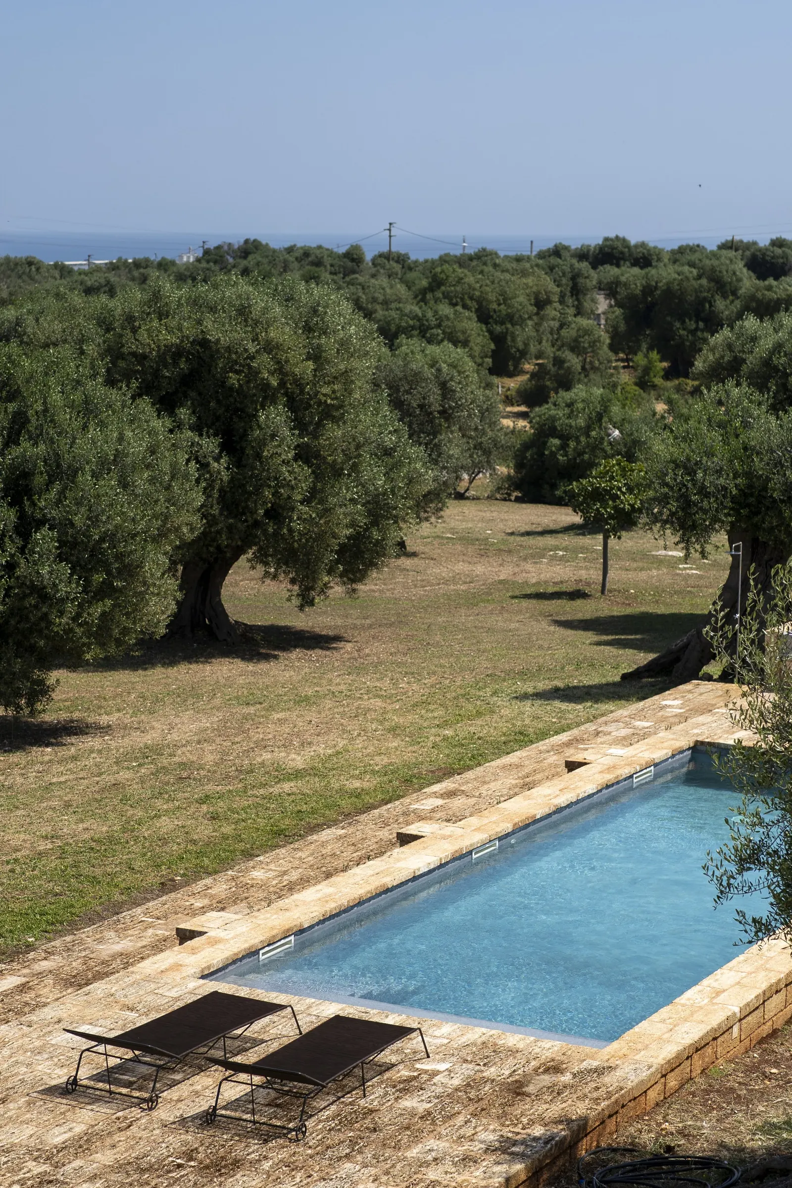 The pool from above among the olive trees