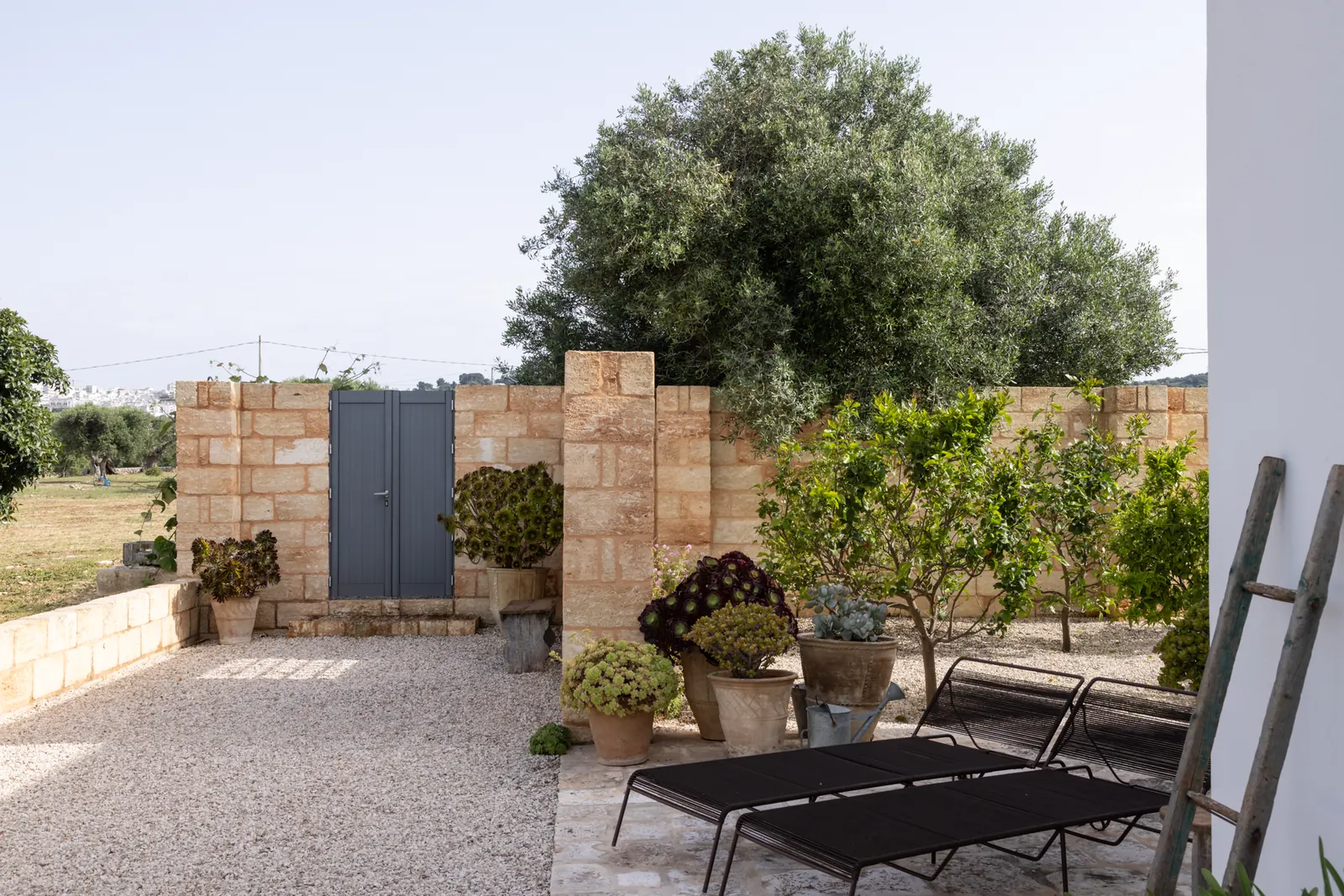 Gravel courtyard with sunbeds and citrus trees