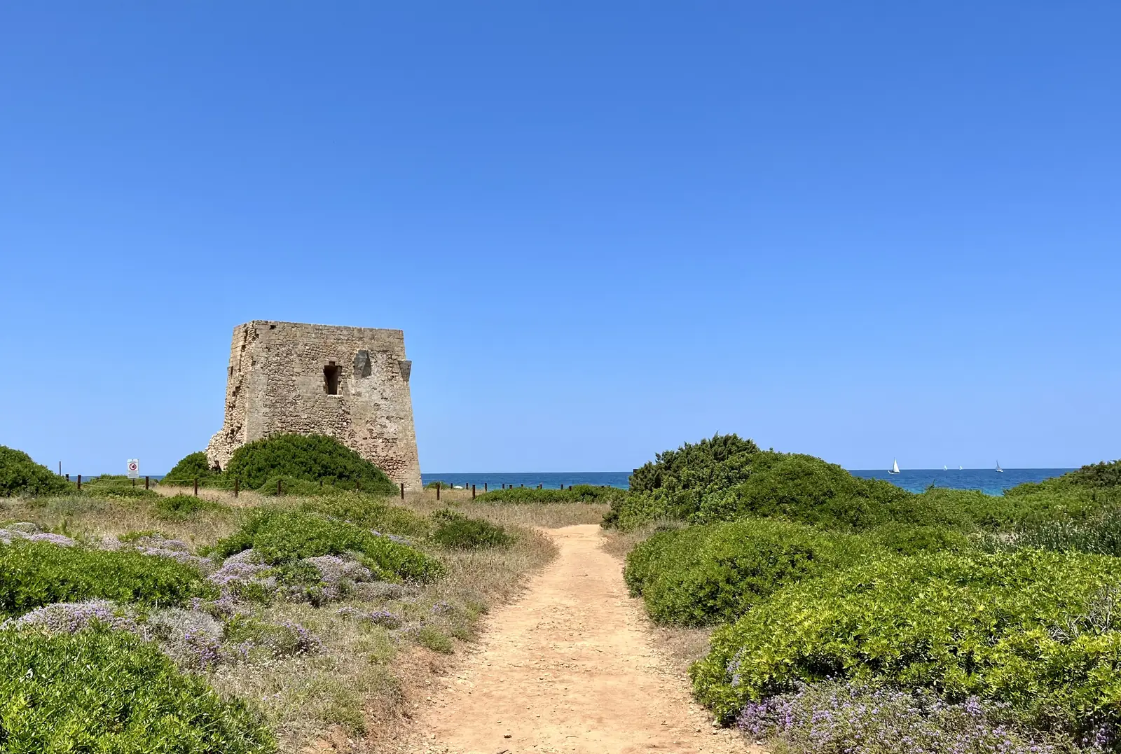 A path through flowering scrub to an old stone watchtower on the coast, with the sea beyond
